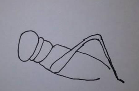 一步步教你画蝗虫