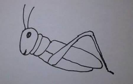 一步步教你画蝗虫