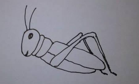 一步步教你画蝗虫