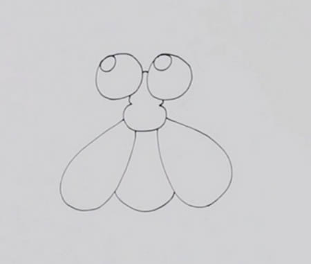 苍蝇简笔画步骤图解