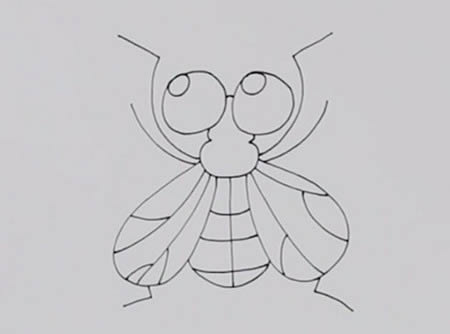 苍蝇简笔画步骤图解