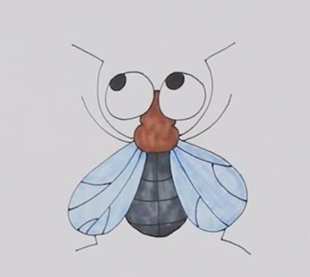 苍蝇简笔画步骤图解