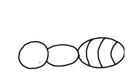 涂色的蚂蚁简笔画步骤 涂色的蚂蚁简笔画步骤