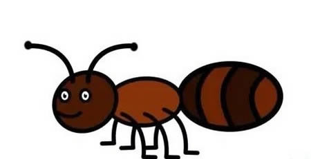 涂色的蚂蚁简笔画步骤 涂色的蚂蚁简笔画步骤