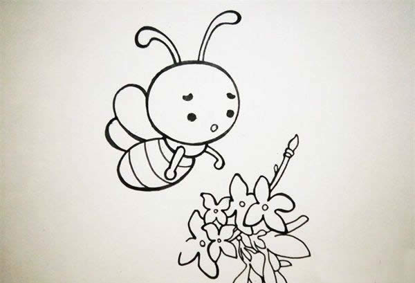 采蜜的小蜜蜂简笔画