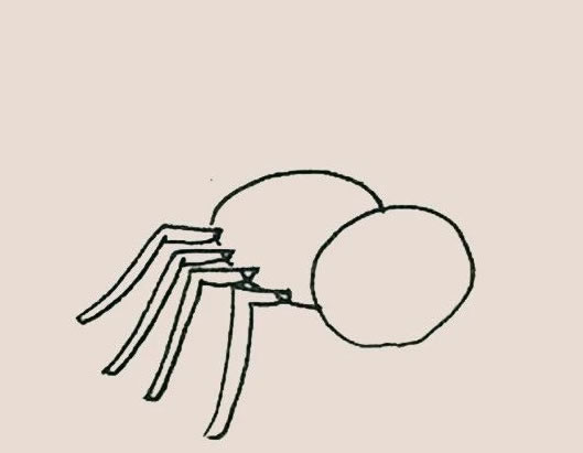 涂色的卡通蜘蛛怎么画 涂色的卡通蜘蛛怎么画