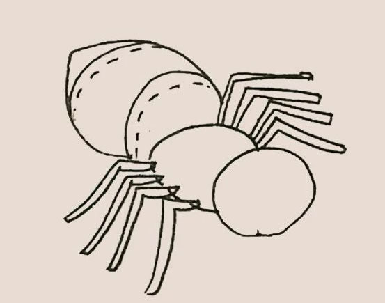涂色的卡通蜘蛛怎么画 涂色的卡通蜘蛛怎么画