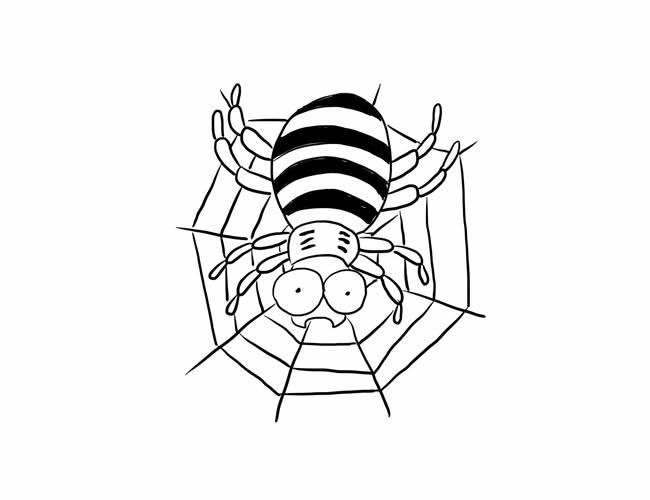 蜘蛛网上的蜘蛛卡通简笔画(梦见蜘蛛网缠身还有蜘蛛)