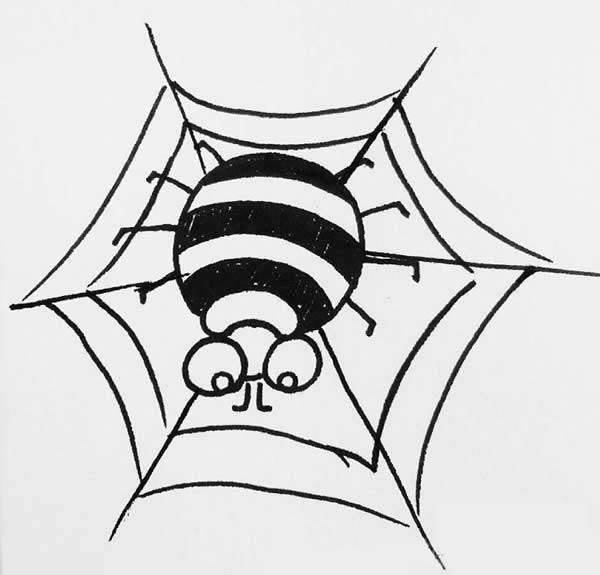 趴在蜘蛛网上的蜘蛛简笔画教程