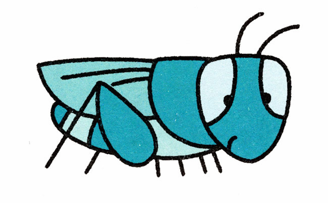 带颜色的蚱蜢简笔画教程