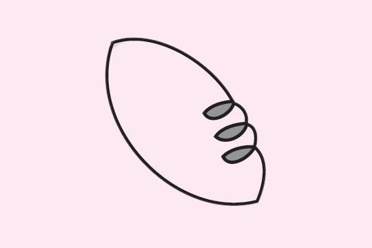 分享几幅橄榄球的简笔画