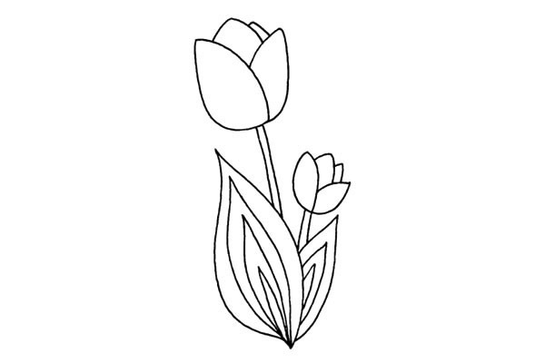 郁金香简笔画步骤教程(郁金香简笔画教程)