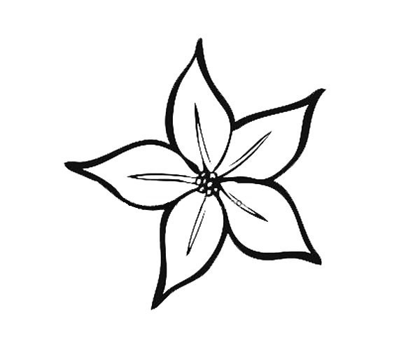 9款漂亮的花瓣简笔画大全(好看花瓣简笔画)