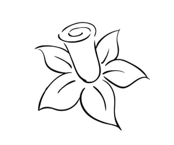 一看就会的花瓣简笔画(花瓣简单)