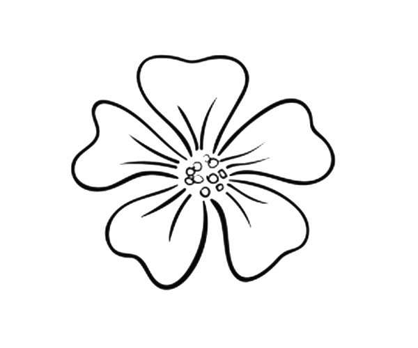 花瓣怎么画比较简单(花瓣怎么画简单好看视频)