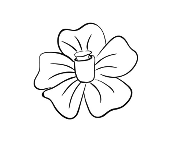 花瓣的简单画法(花瓣的简易画法)