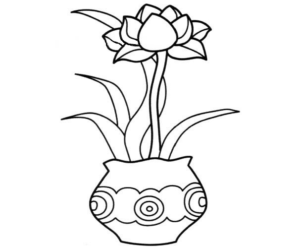 漂亮的盆栽花朵简笔画(简单的盆栽花怎么画)