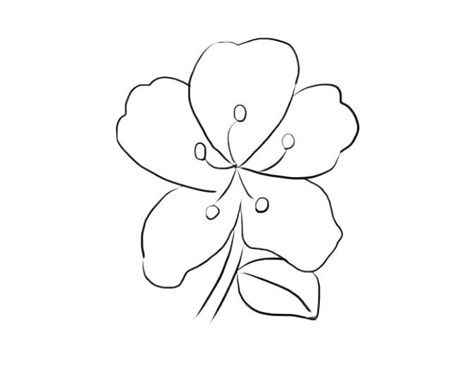 杜鹃花的简单画法(杜鹃花)