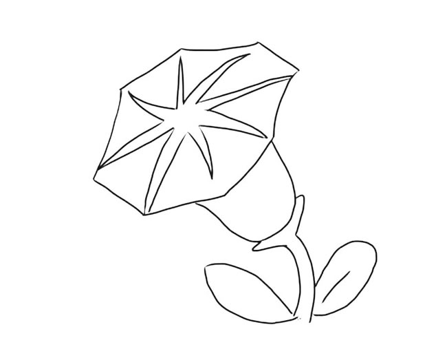 牵牛花怎么画简单又漂亮(牵牛花怎么画简单又漂亮三年级)