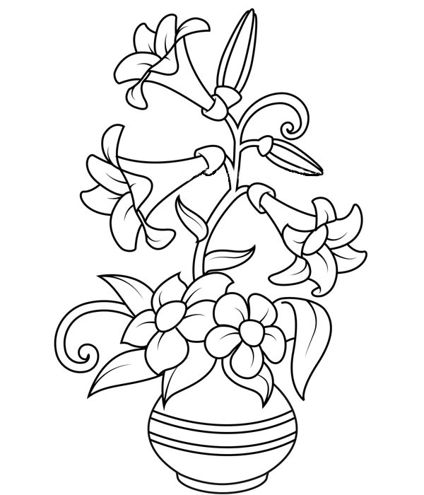 插在花瓶里的百合花简笔画(插在花瓶里的百合花蔫了怎么办)