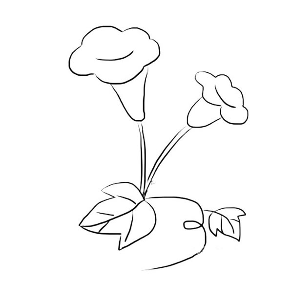 喇叭花怎么画简单又好看(喇叭花怎么画 简单)