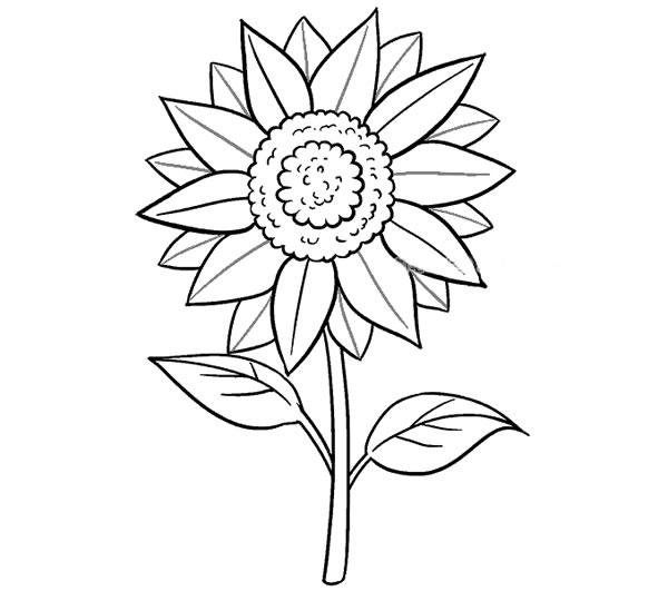 漂亮带颜色的向日葵简笔画(向日葵颜色搭配图画)
