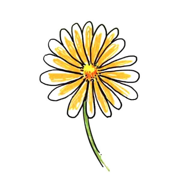 带颜色的菊花简笔画(菊花怎么画颜料)