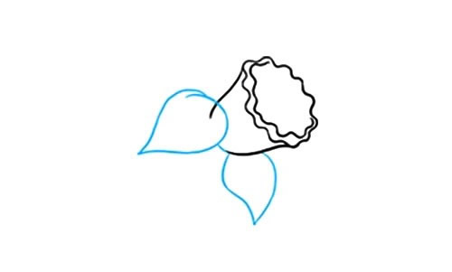 带颜色的水仙花简笔画教程