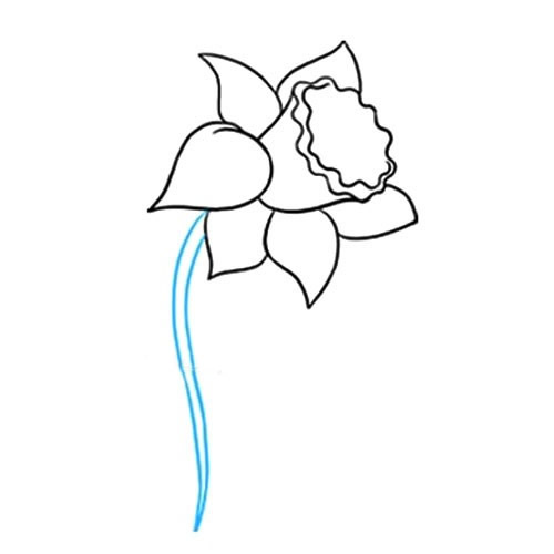 带颜色的水仙花简笔画教程