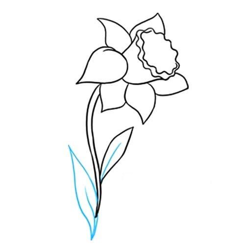 带颜色的水仙花简笔画教程