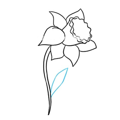 带颜色的水仙花简笔画教程