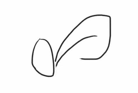 桔梗花简笔画步骤教程