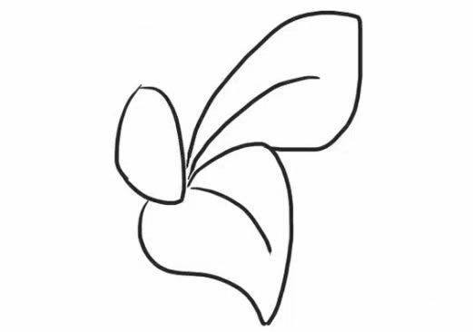 桔梗花简笔画步骤教程