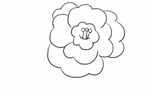 漂亮的茶花简笔画步骤教程