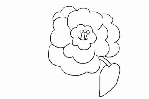 漂亮的茶花简笔画步骤教程