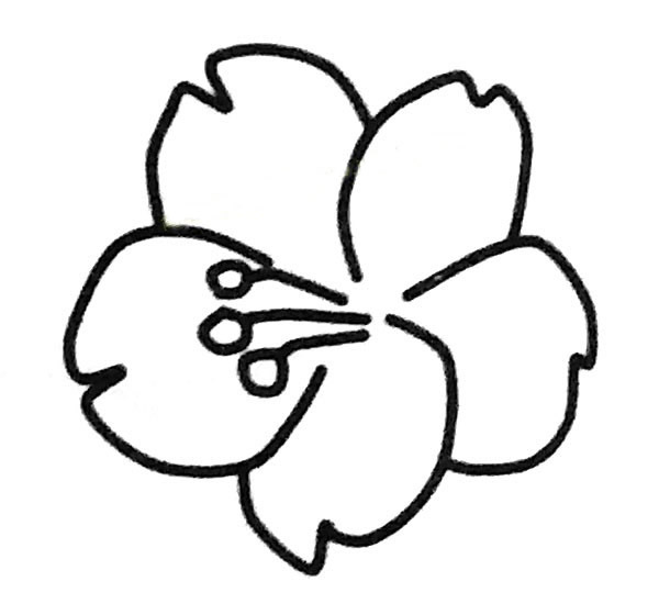 简单的樱花怎么画(简单的樱花怎么画图片)