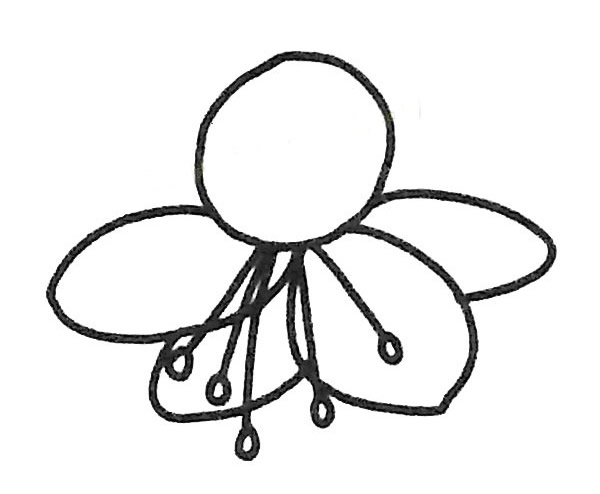 关于樱花的简笔画(关于樱花的简笔画怎么画)