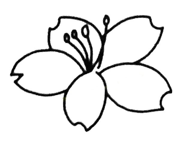 教你四步画出简单的樱花