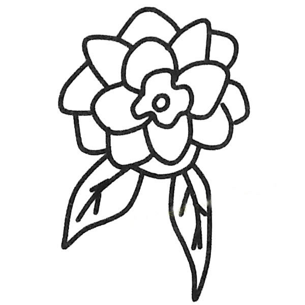 茶花儿童简笔画(茶花简笔画图片大全大图)