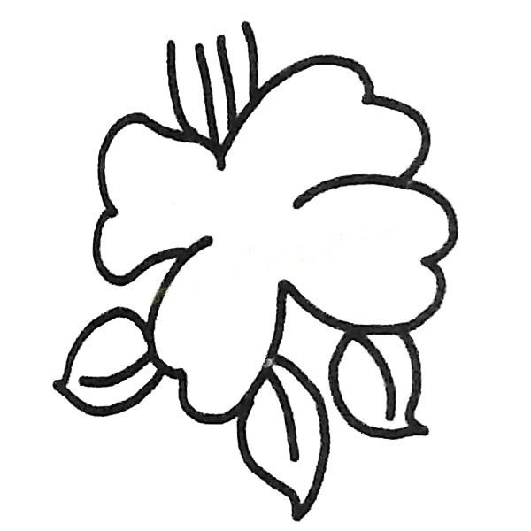 关于茶花的简笔画(关于茶花的简笔画图片)