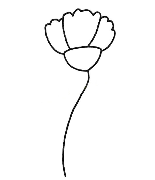 康乃馨简笔画步骤教程