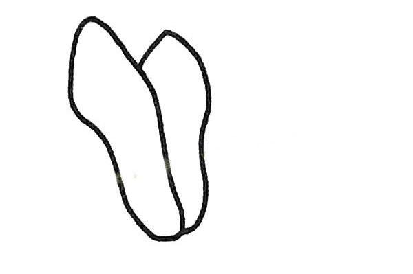 玉兰花简笔画步骤教程