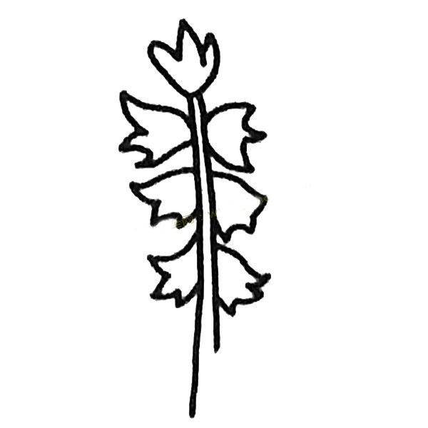 风信子简笔画步骤教程