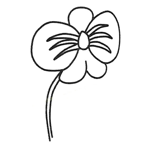 关于蝴蝶兰的儿童简笔画(蝴蝶兰儿童简笔画)