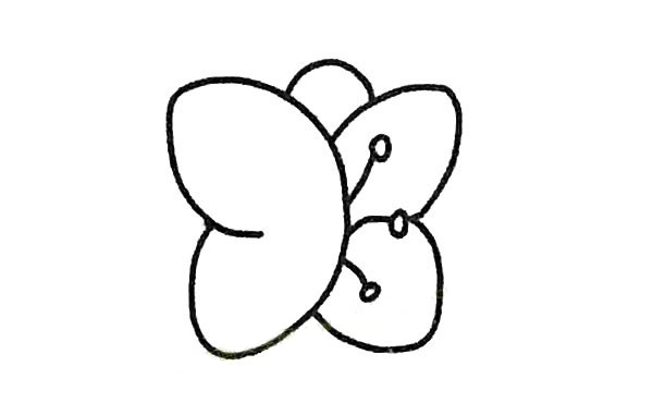 蝴蝶兰简笔画步骤教程