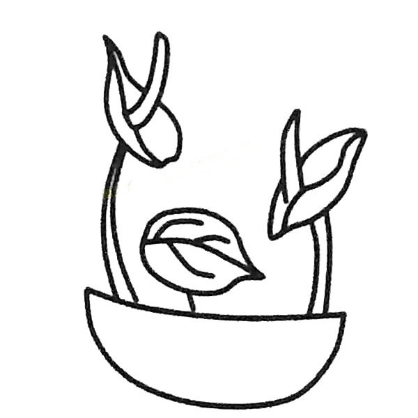 红掌的简单画法(红掌怎么画简笔画)