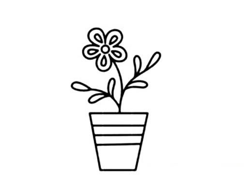 漂亮的盆栽花简笔画(漂亮的盆栽花简笔画大全)