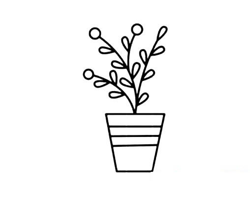 关于盆栽的简笔画(盆栽的植物简笔画)