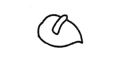 盆栽红掌简笔画步骤教程