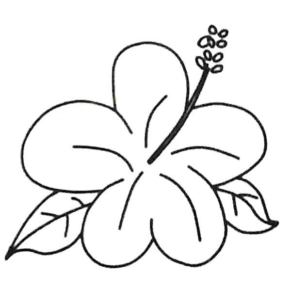 简单易学的扶桑花简笔画(扶桑花简图)